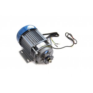 Bezkartáčový motor 1000W 48V